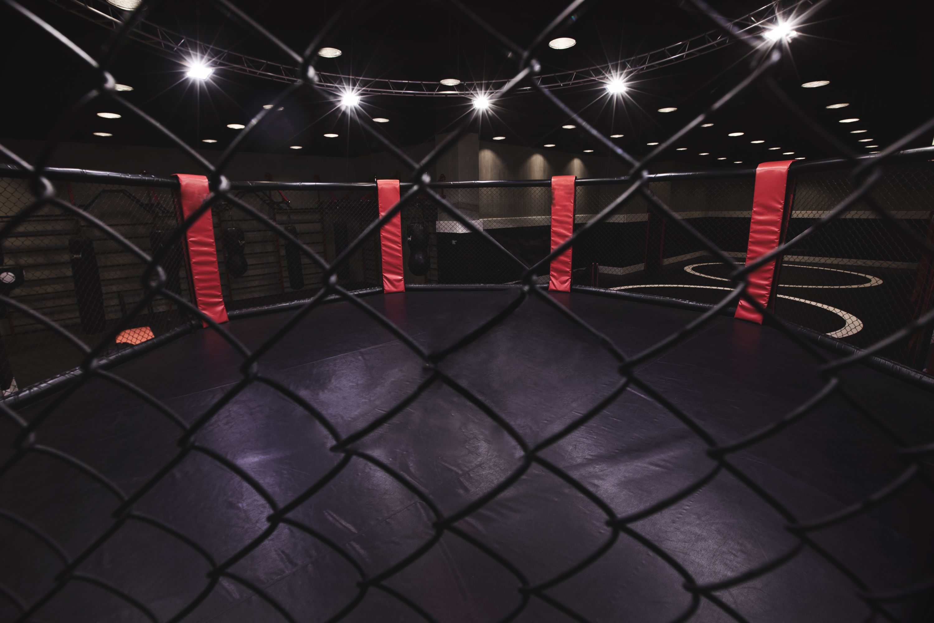 Mixed Martial Arts
