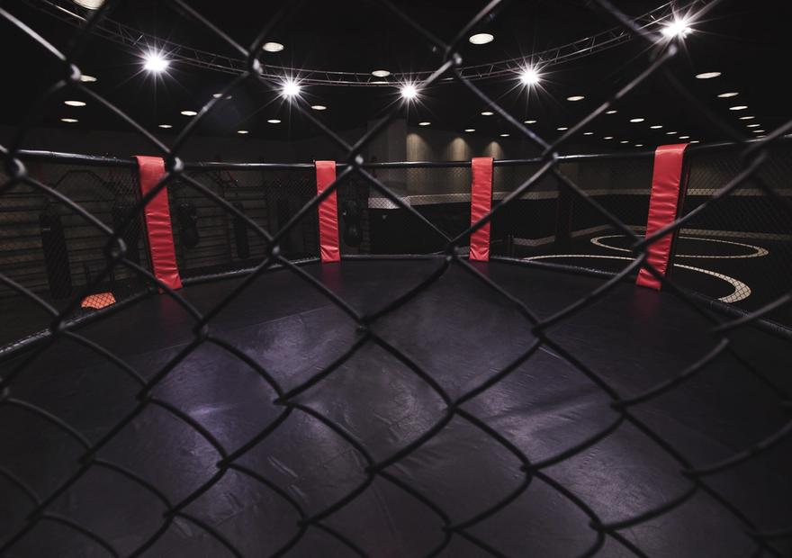 Mixed Martial Arts