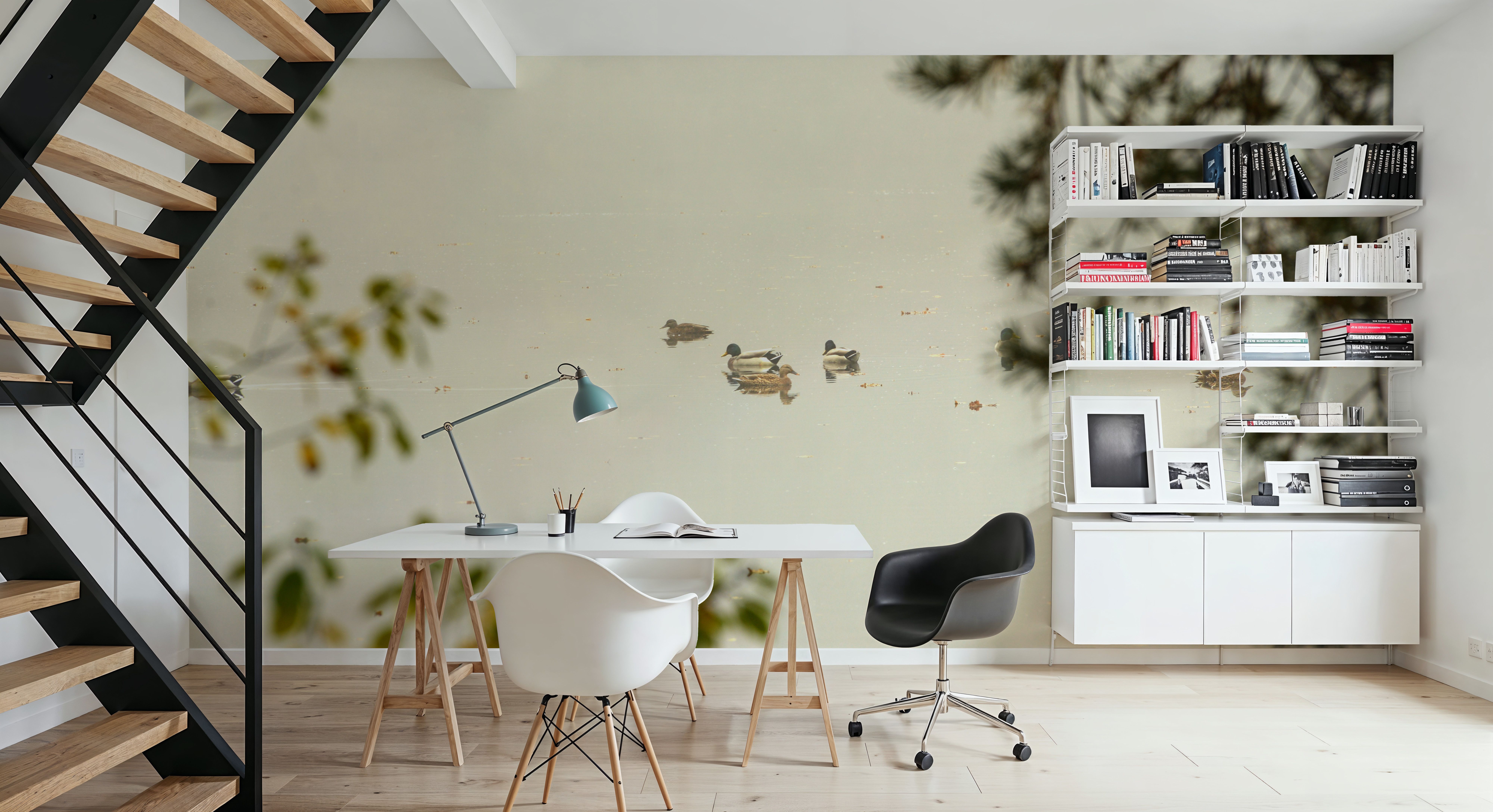 Ducks Resting, Wallpaper