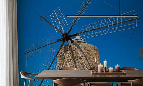 Formentera Windmill