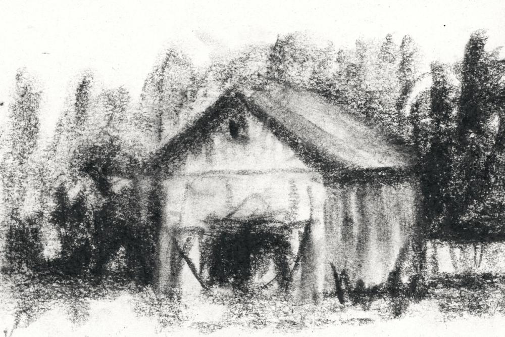 Farm Study IV