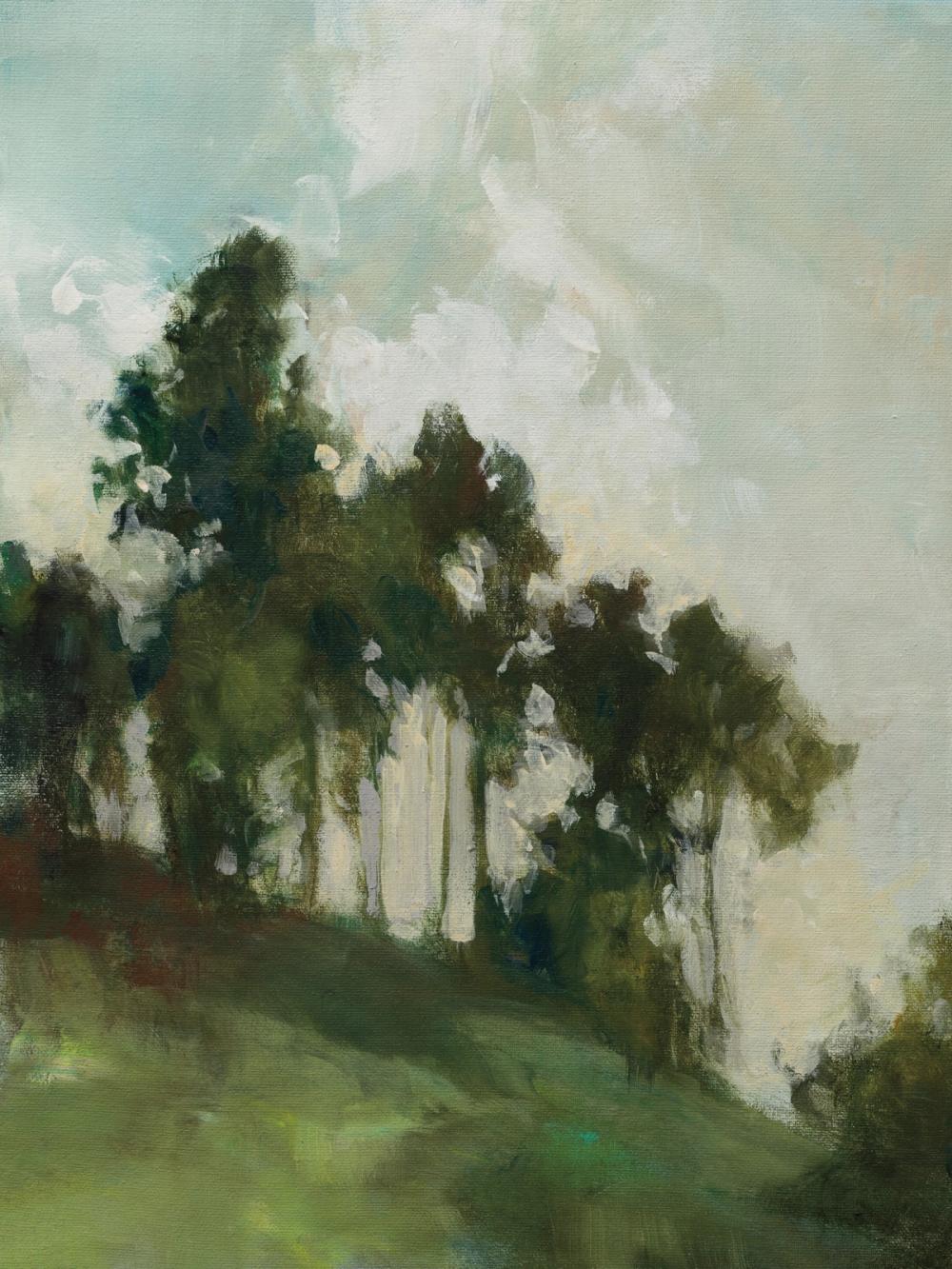Calm Hillside
