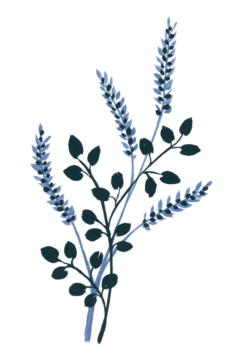 French Country Botanicals I