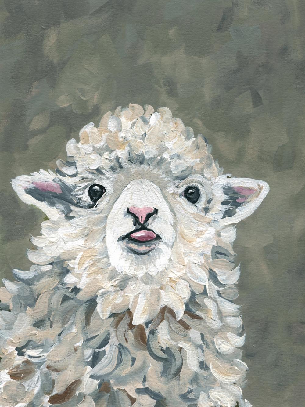 Silly Little Lamb
