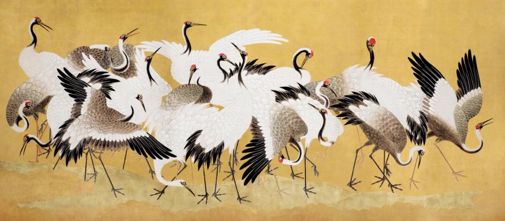 illustration of crane birds