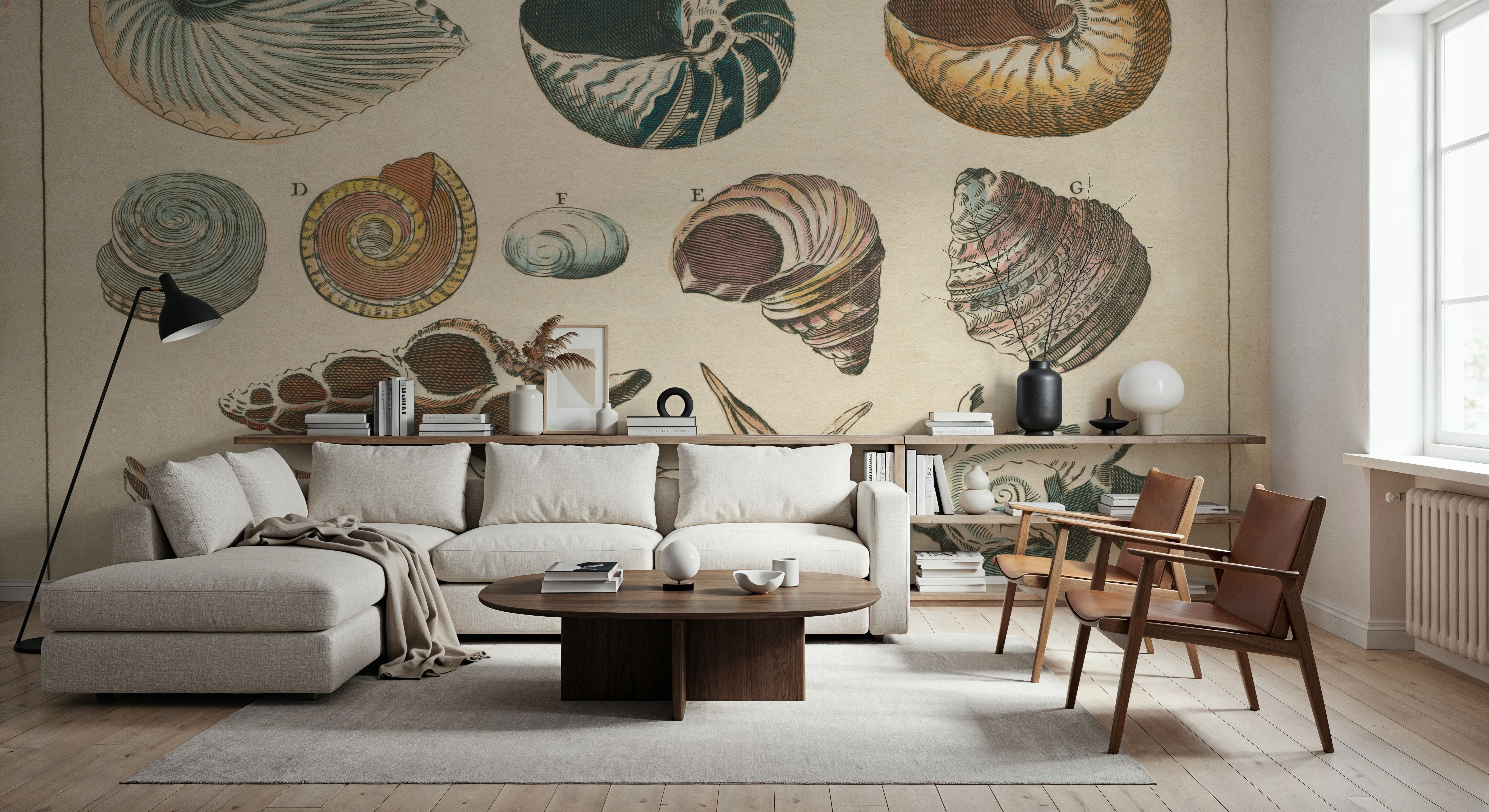 Shell Etchings I