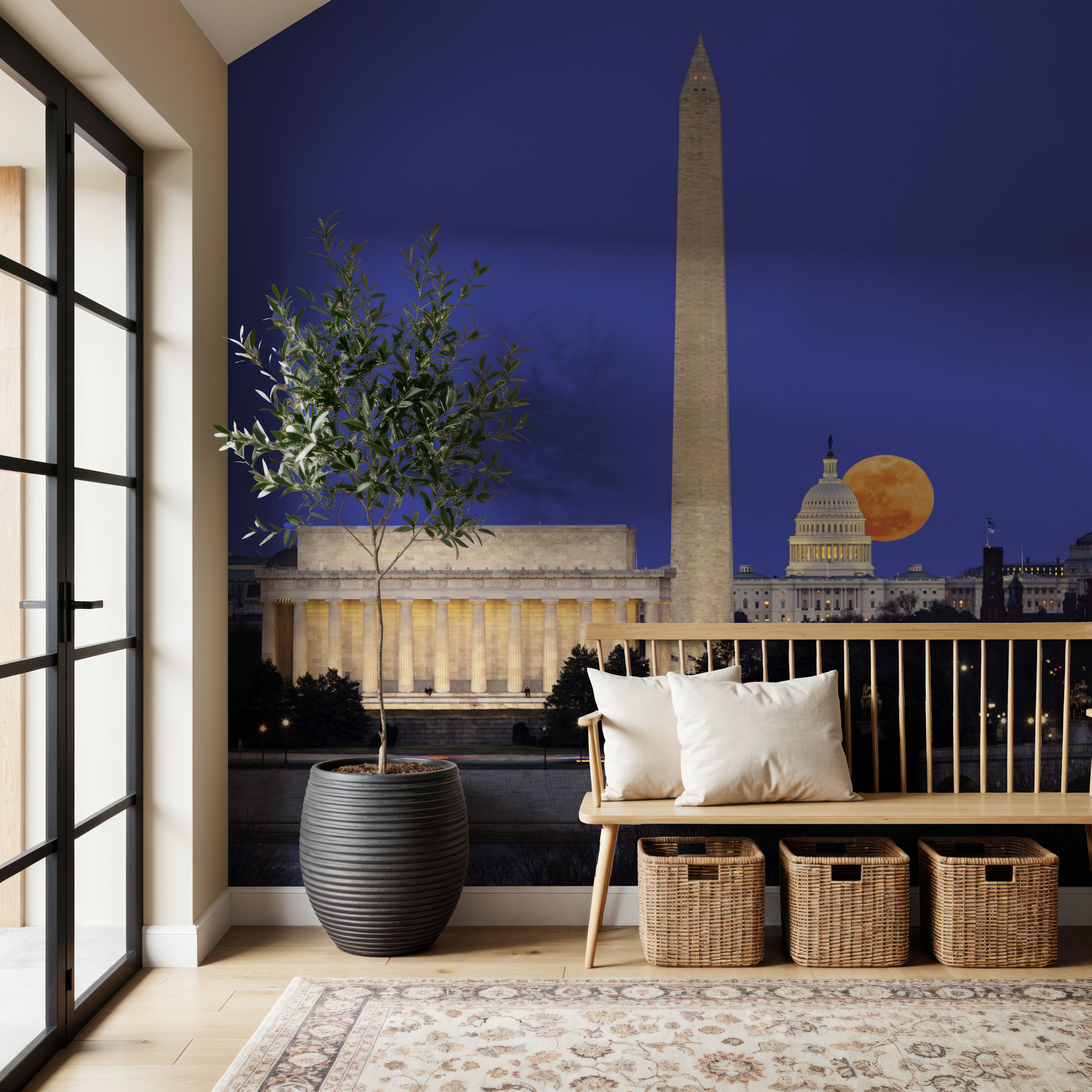 DC Moon