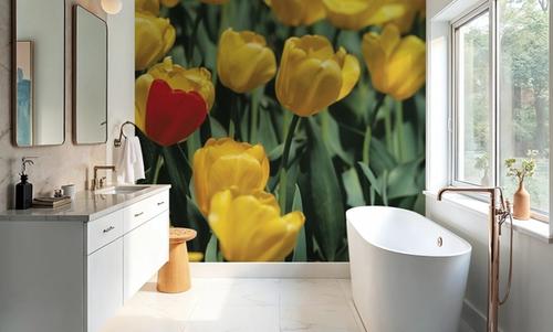 The Standout Tulip