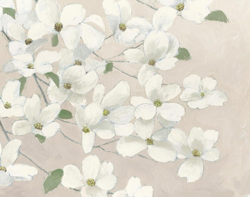 Dogwood Darlings