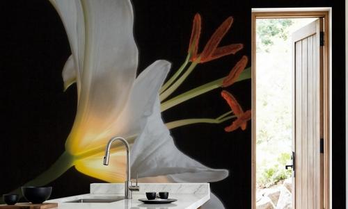 Lily Light Square
