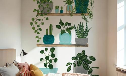 My Boho Plants I