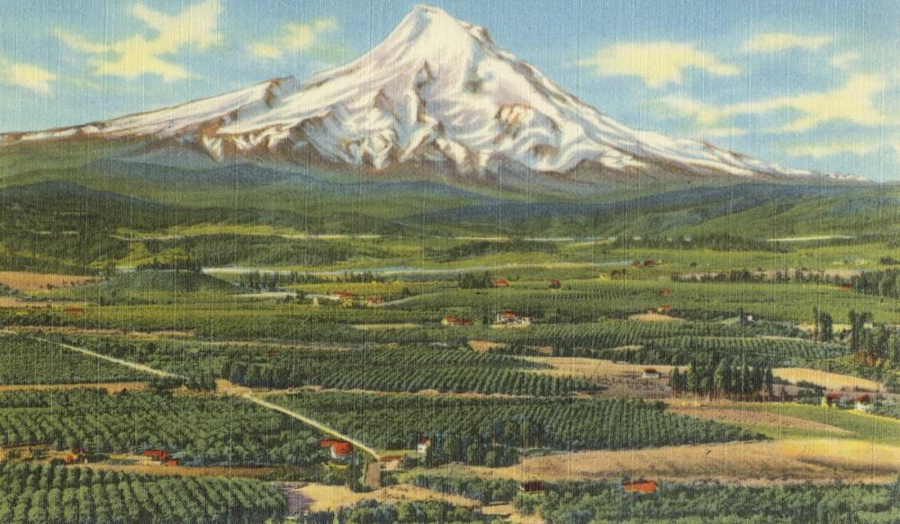 Mt. Hood - Screenprint Postcard