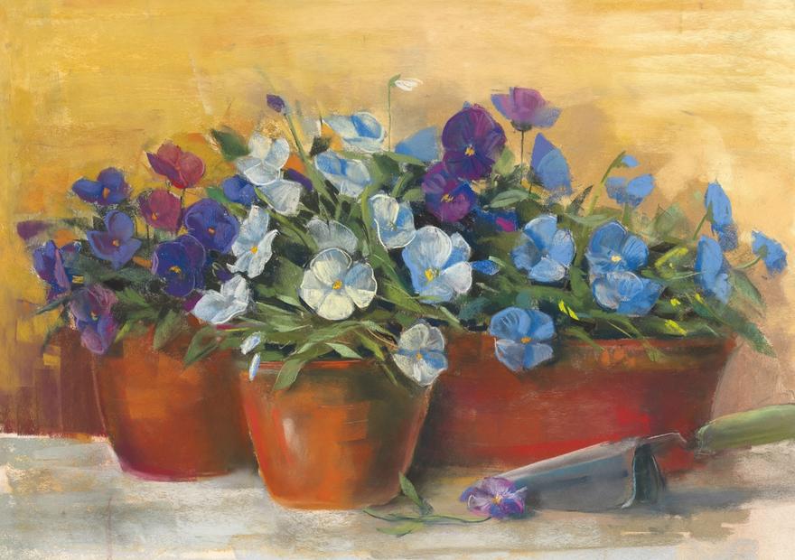 Violetta