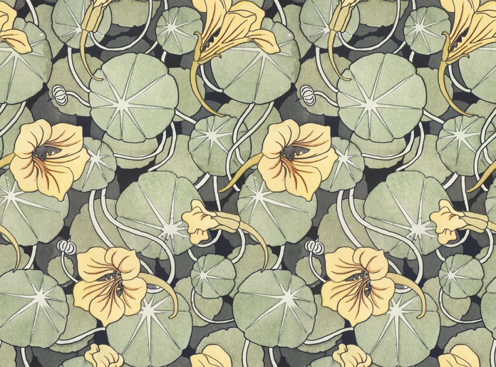 Nasturtium Verdure, Citrus