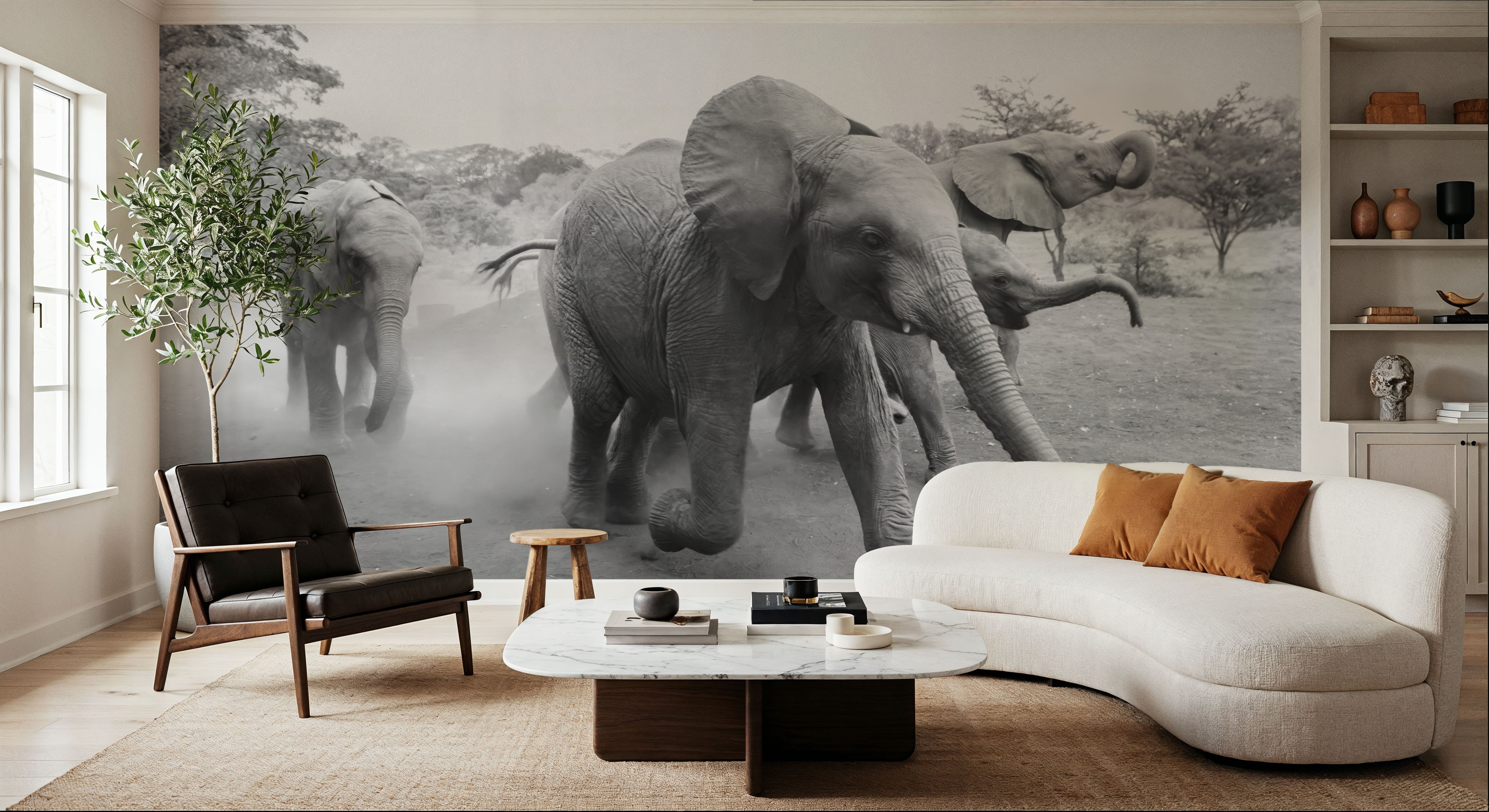 Elephant Race BW