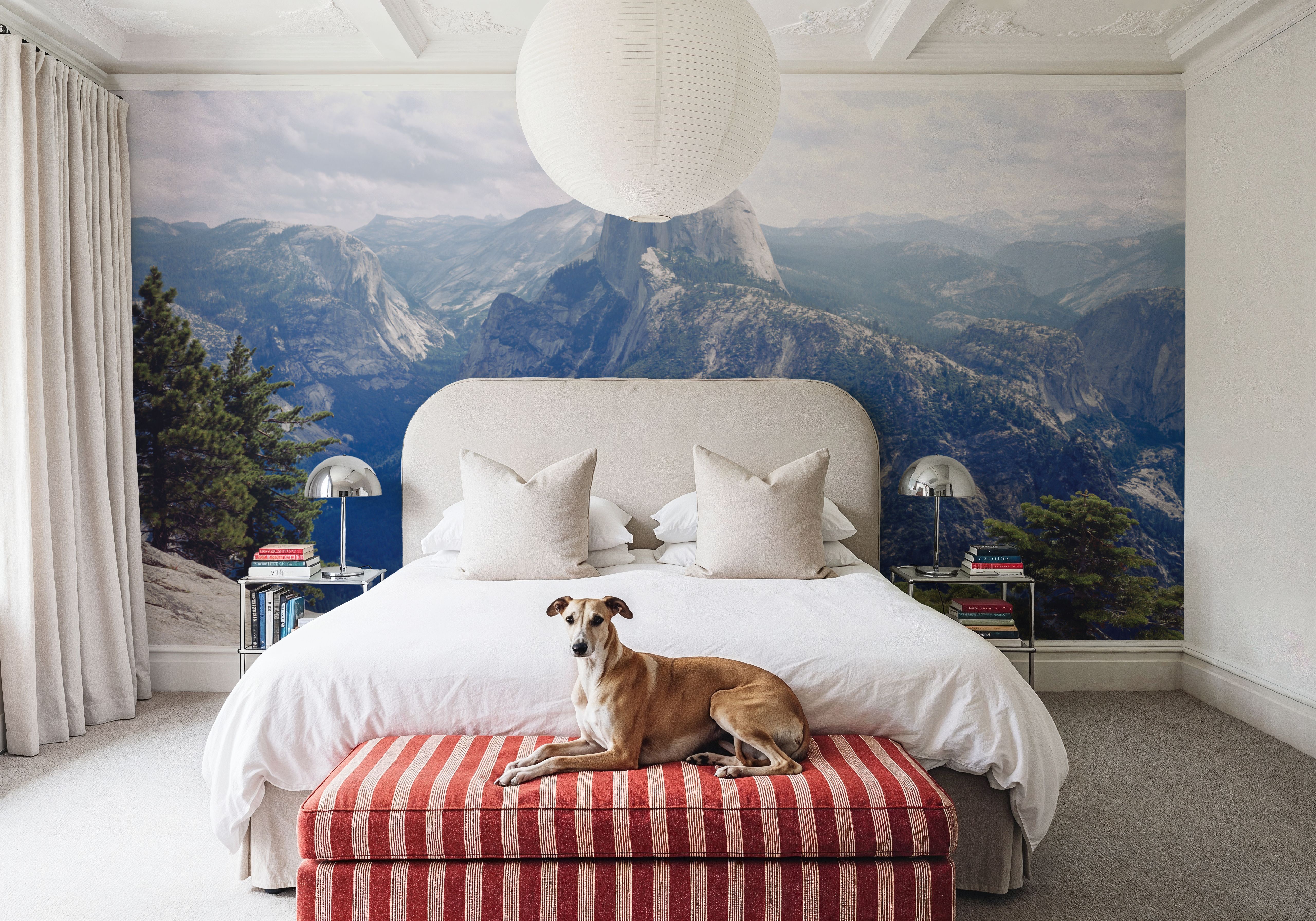 Half Dome High Sierras