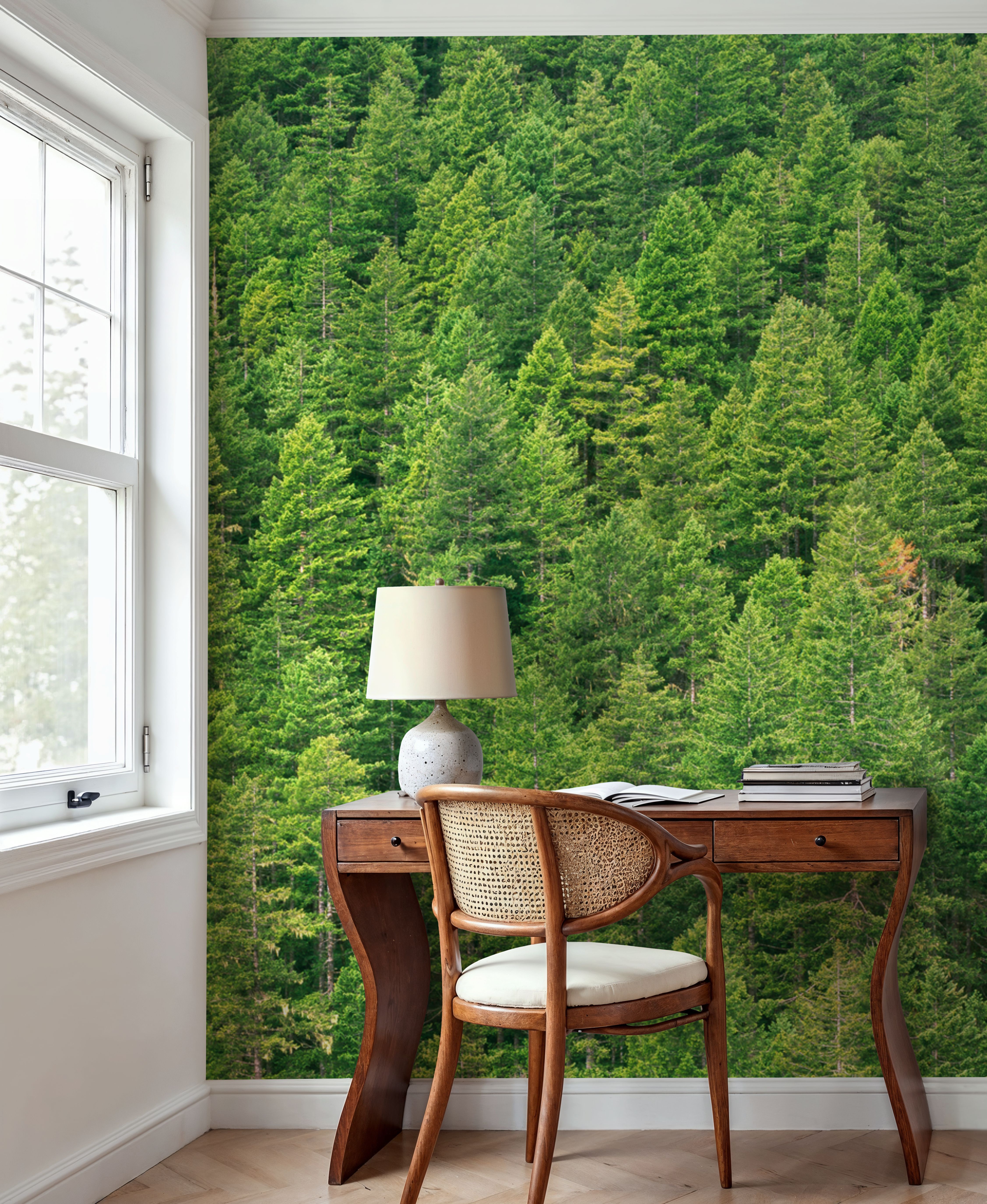 Evergreen Forest in Washintong State