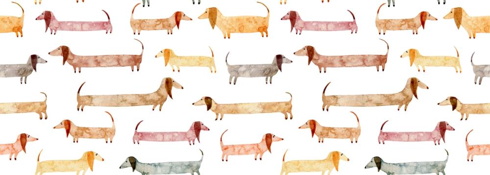 Dachshund Party