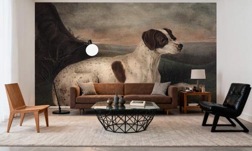 Juno The Hunting Dog