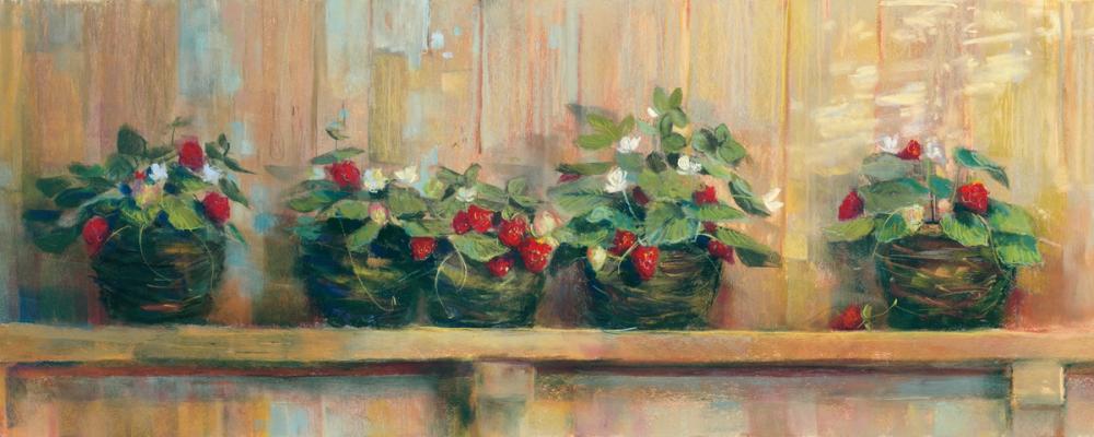 Strawberries in Pots