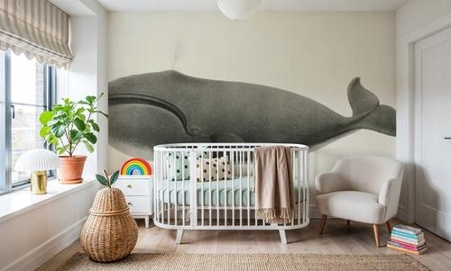 North Pacific Right Whale