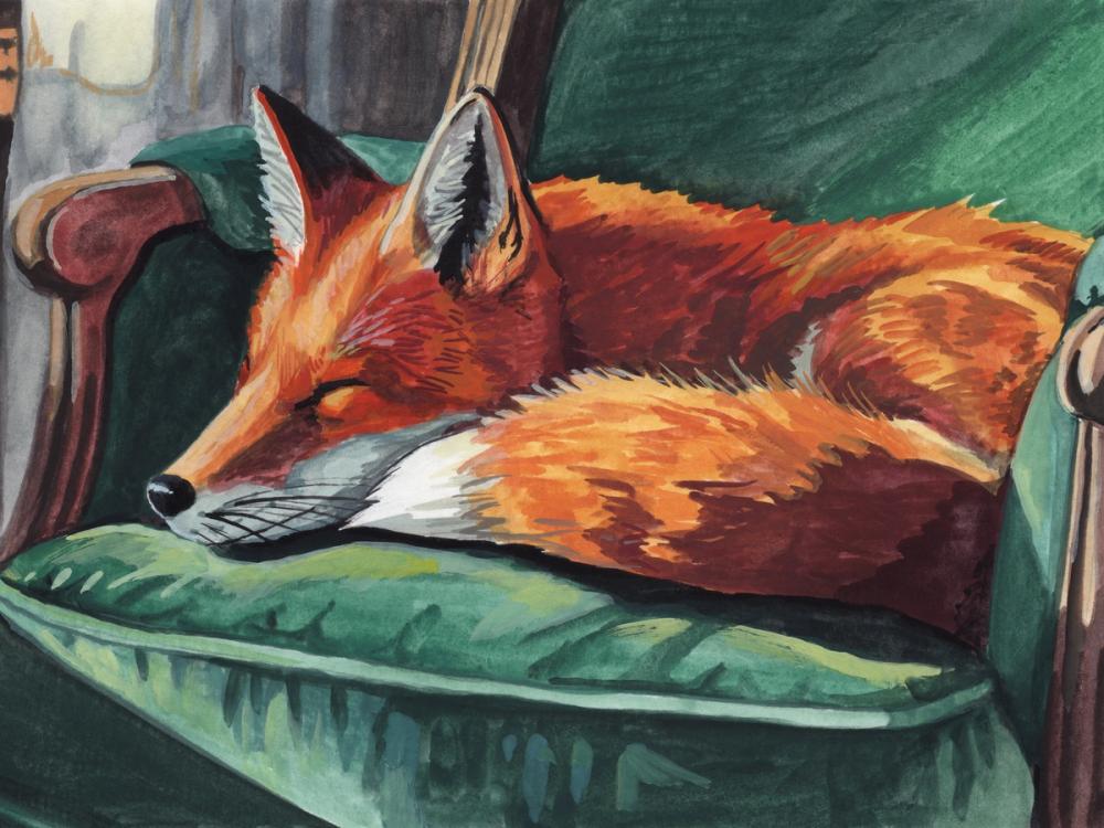 Dreams Of A Dapper Fox