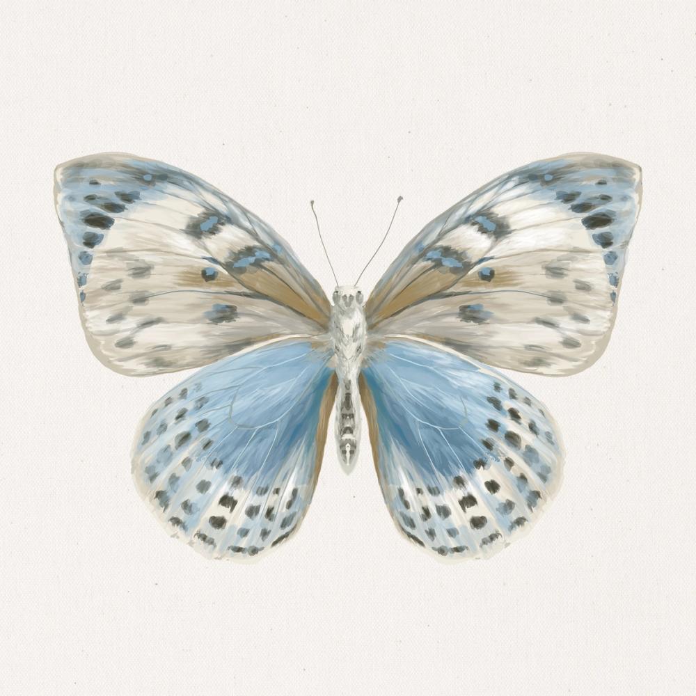 Beetles and Butterflies IV Neutral