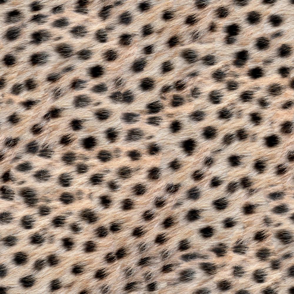 Cheetah Fur Texture