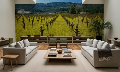 Vineyard Symmetry