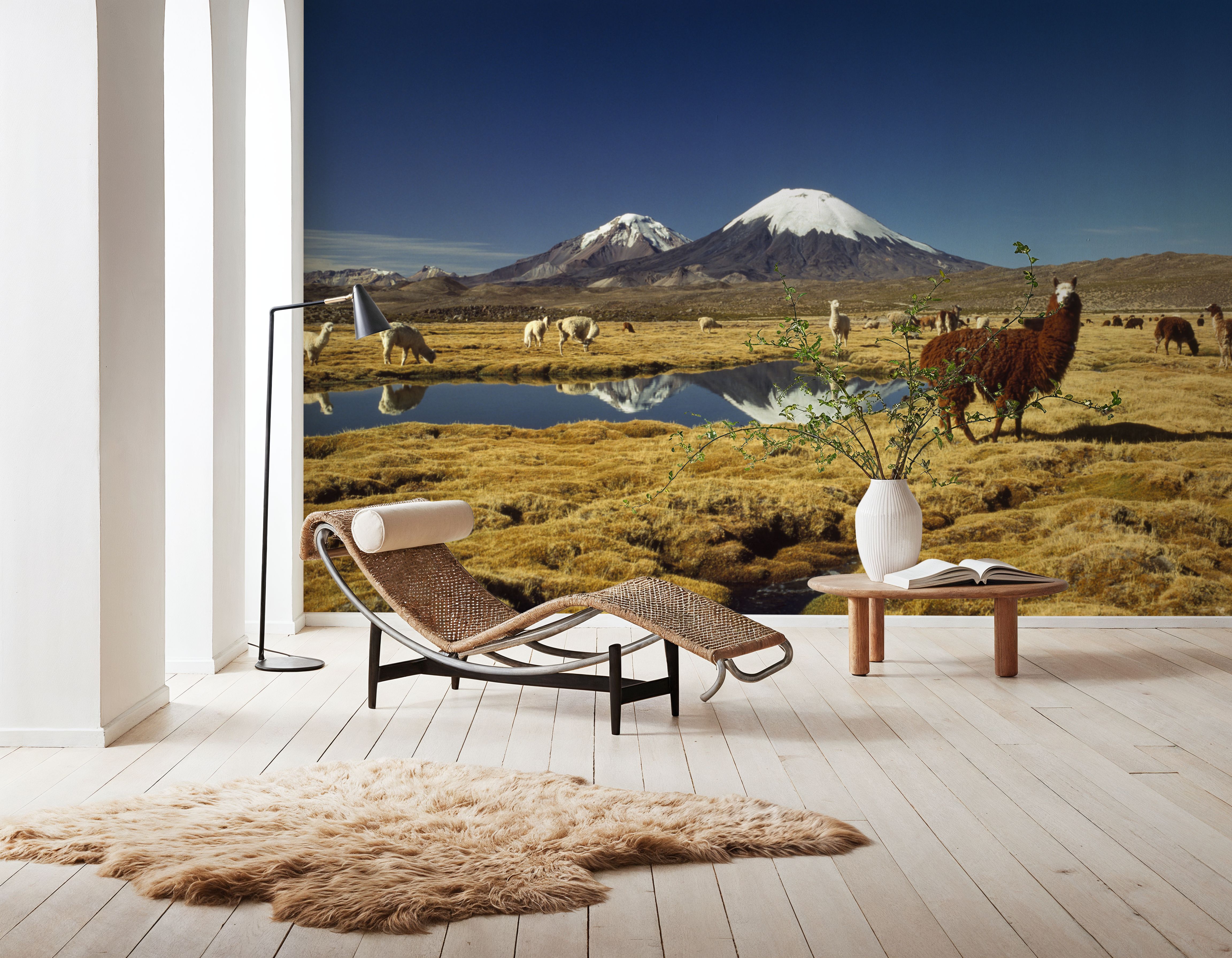 Andean Serenity