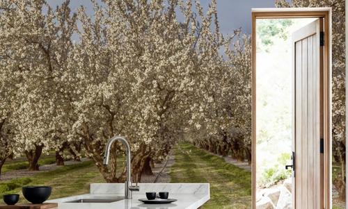 Blooming Almond Grove