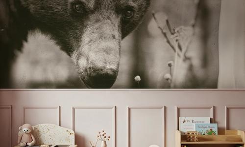 Bear Wetplate