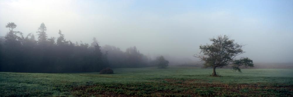 Whidbey Field