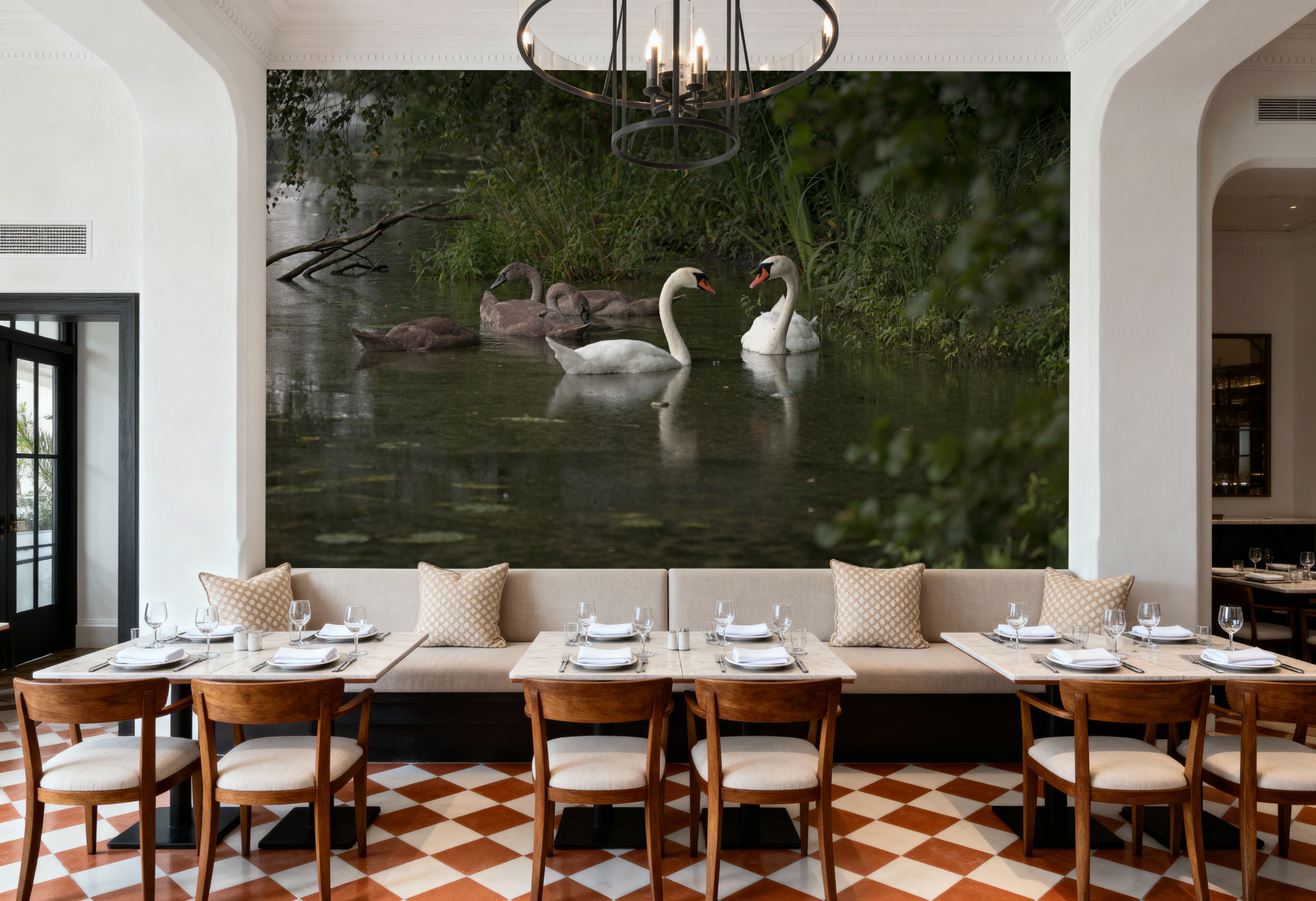 Swans Family