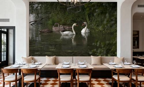 Swans Family