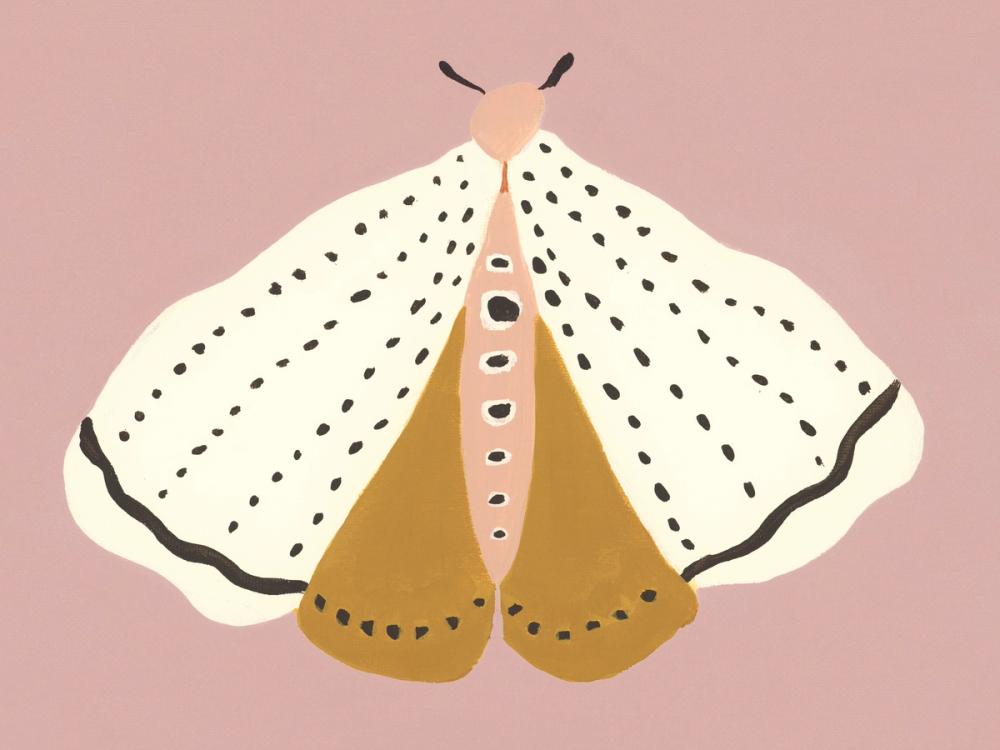 Cinnamon Moth Blush