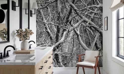 Snow Branches