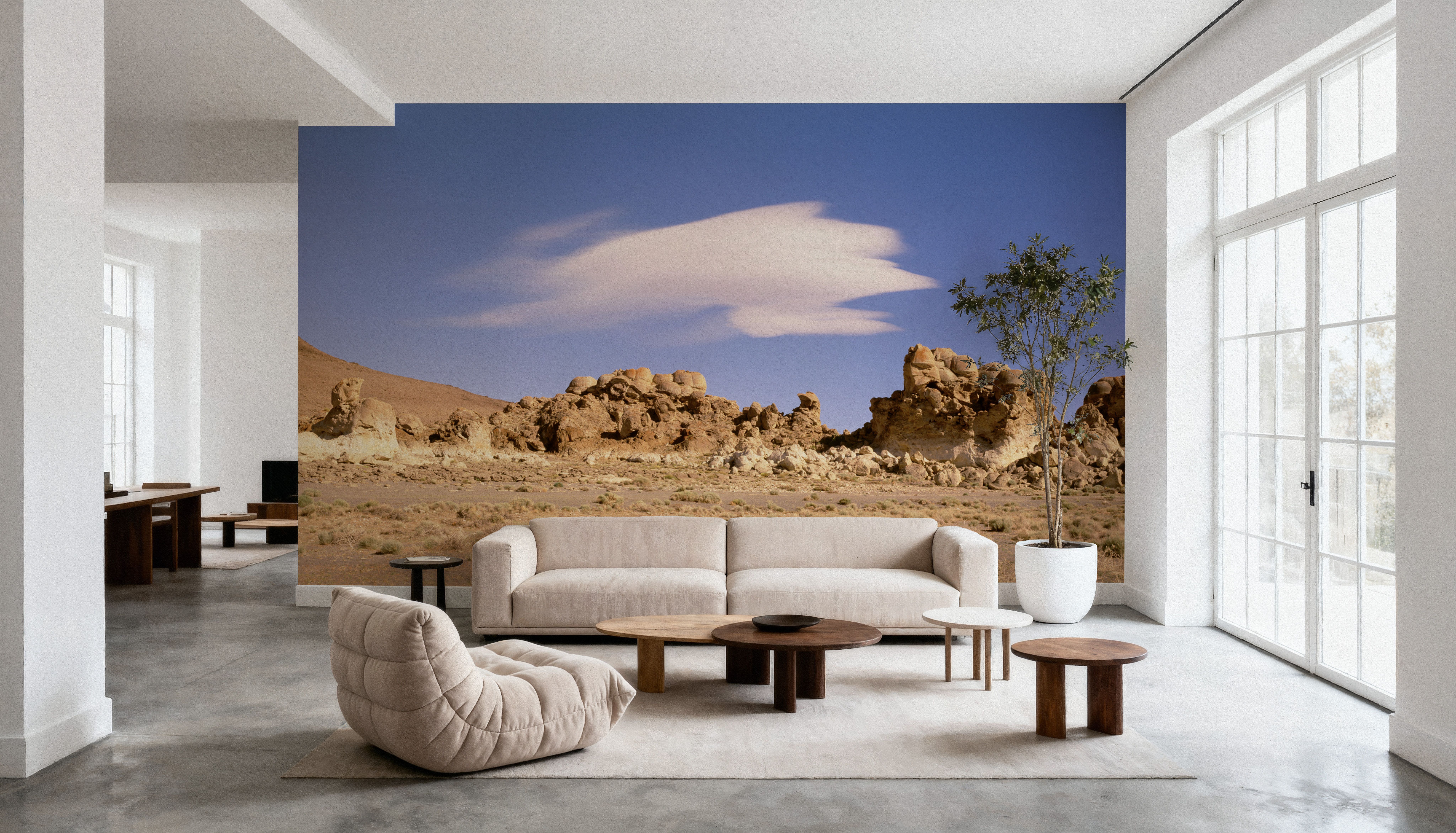 Desert Solitude
