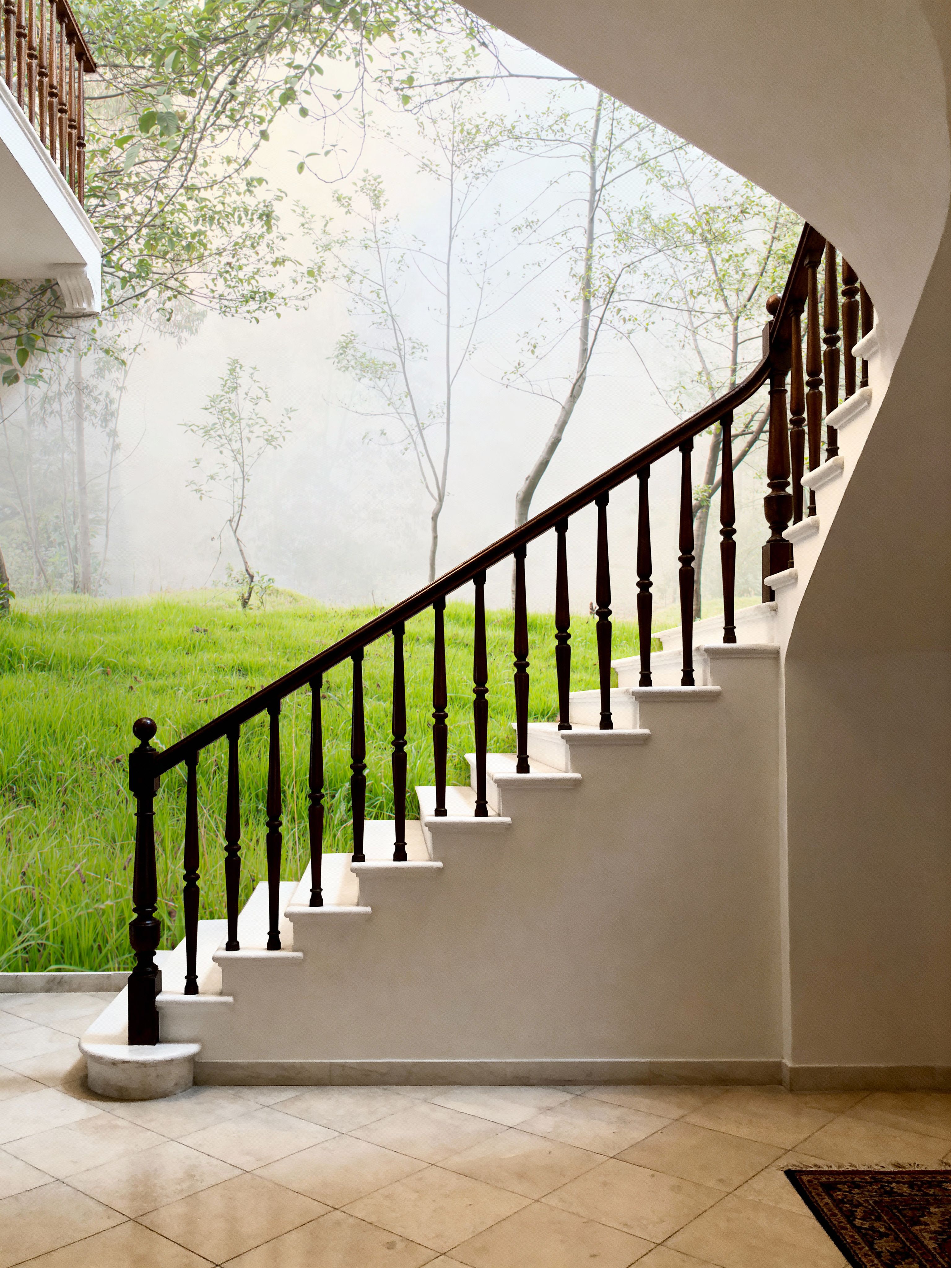 Young Forest Sunbath
