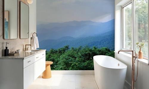 Blue Ridge Views