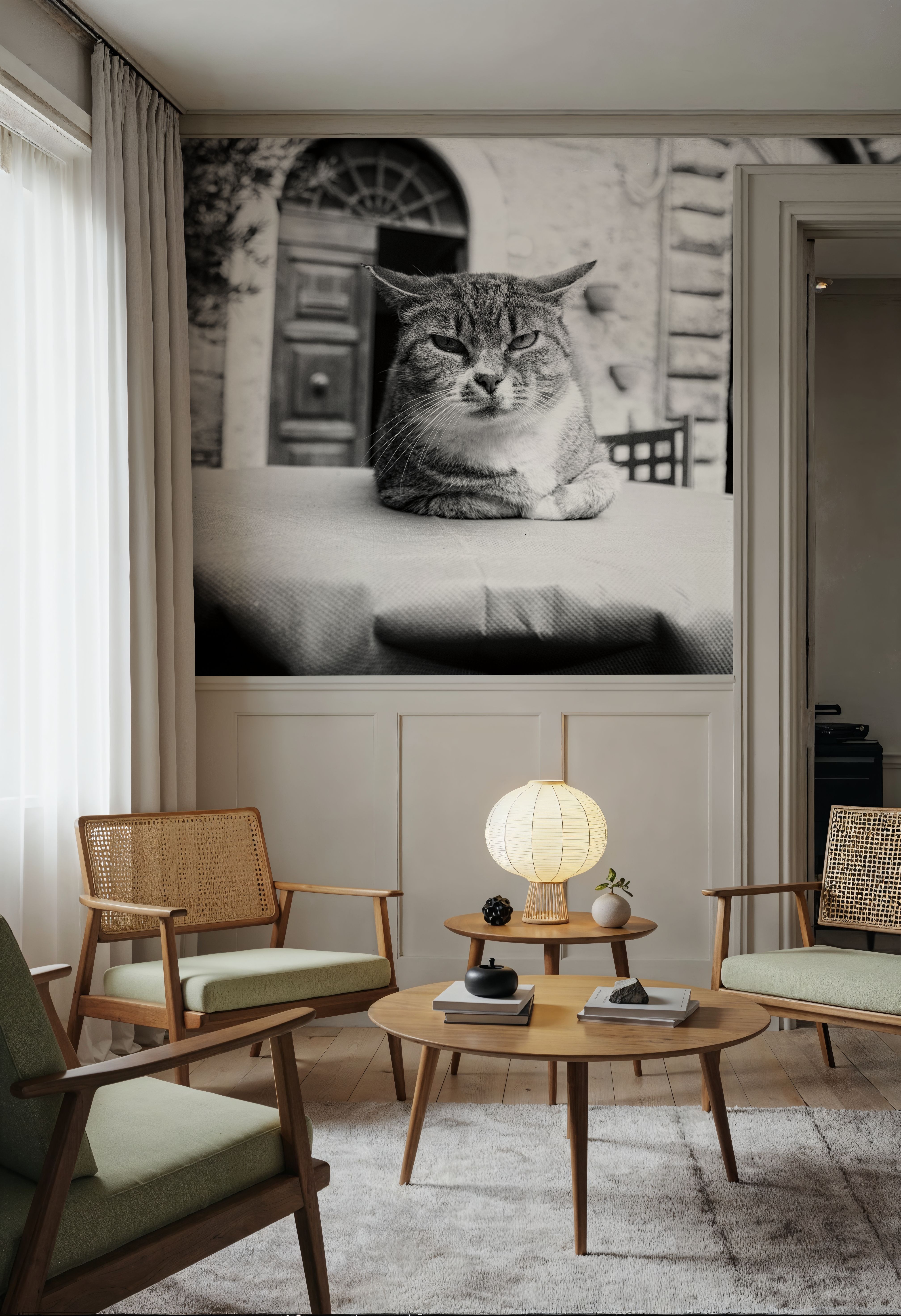 Cafe Cat