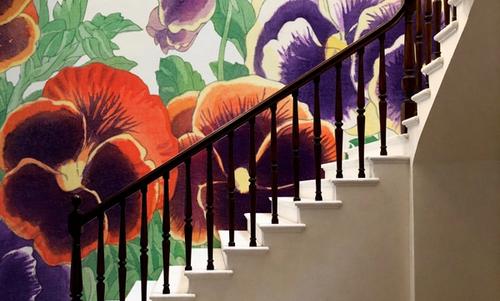 Tanigami Pansy