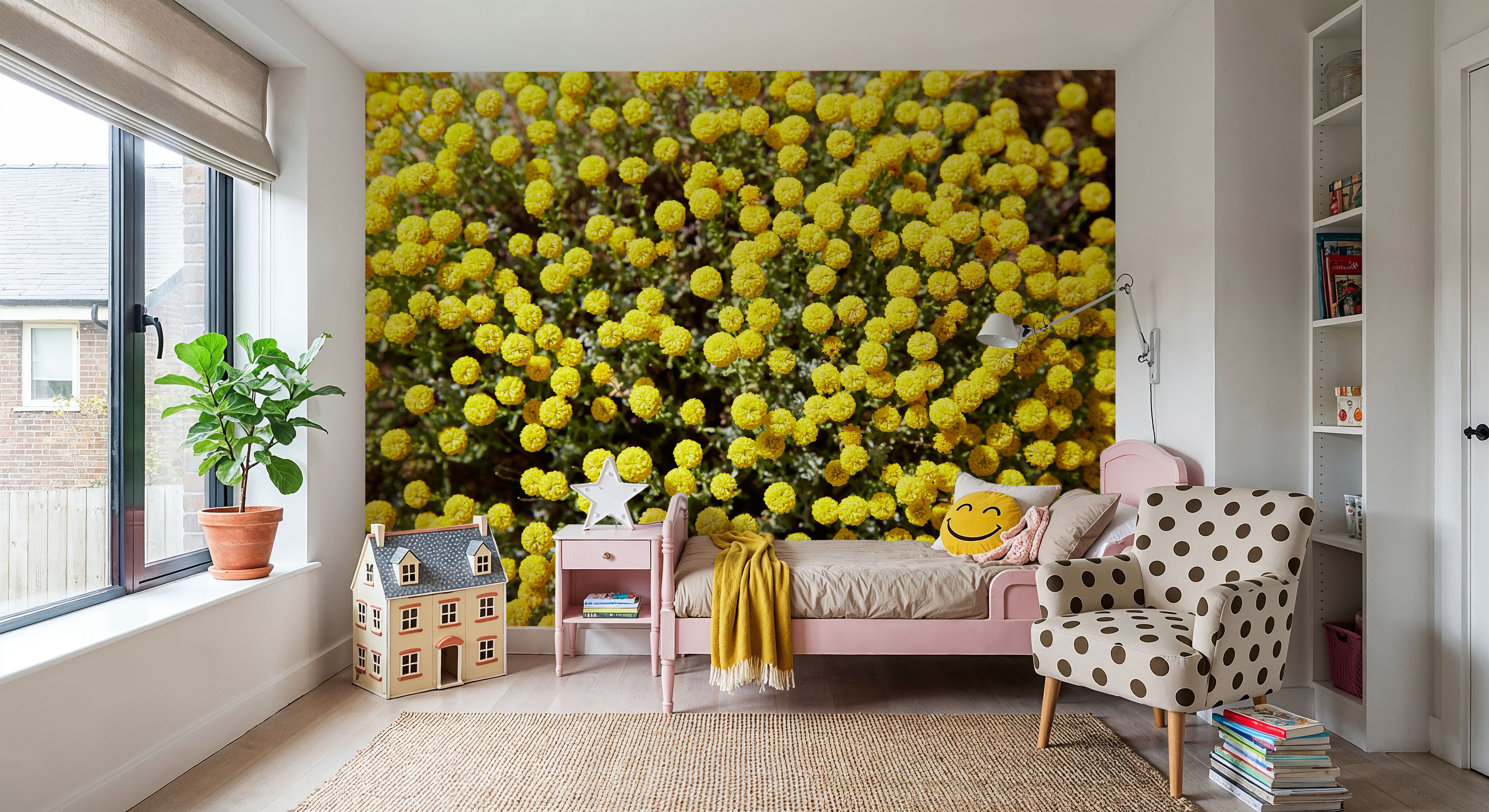 Corratxar, Papier peint