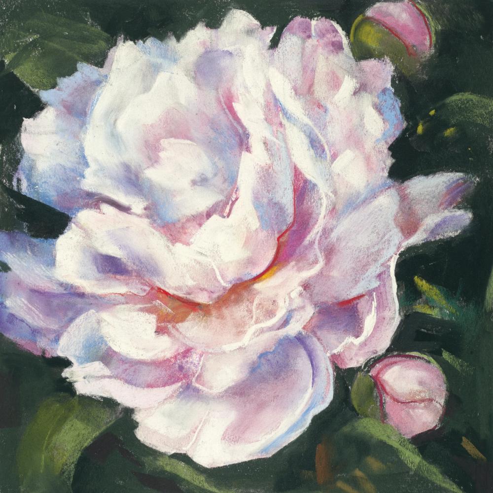 Peony III