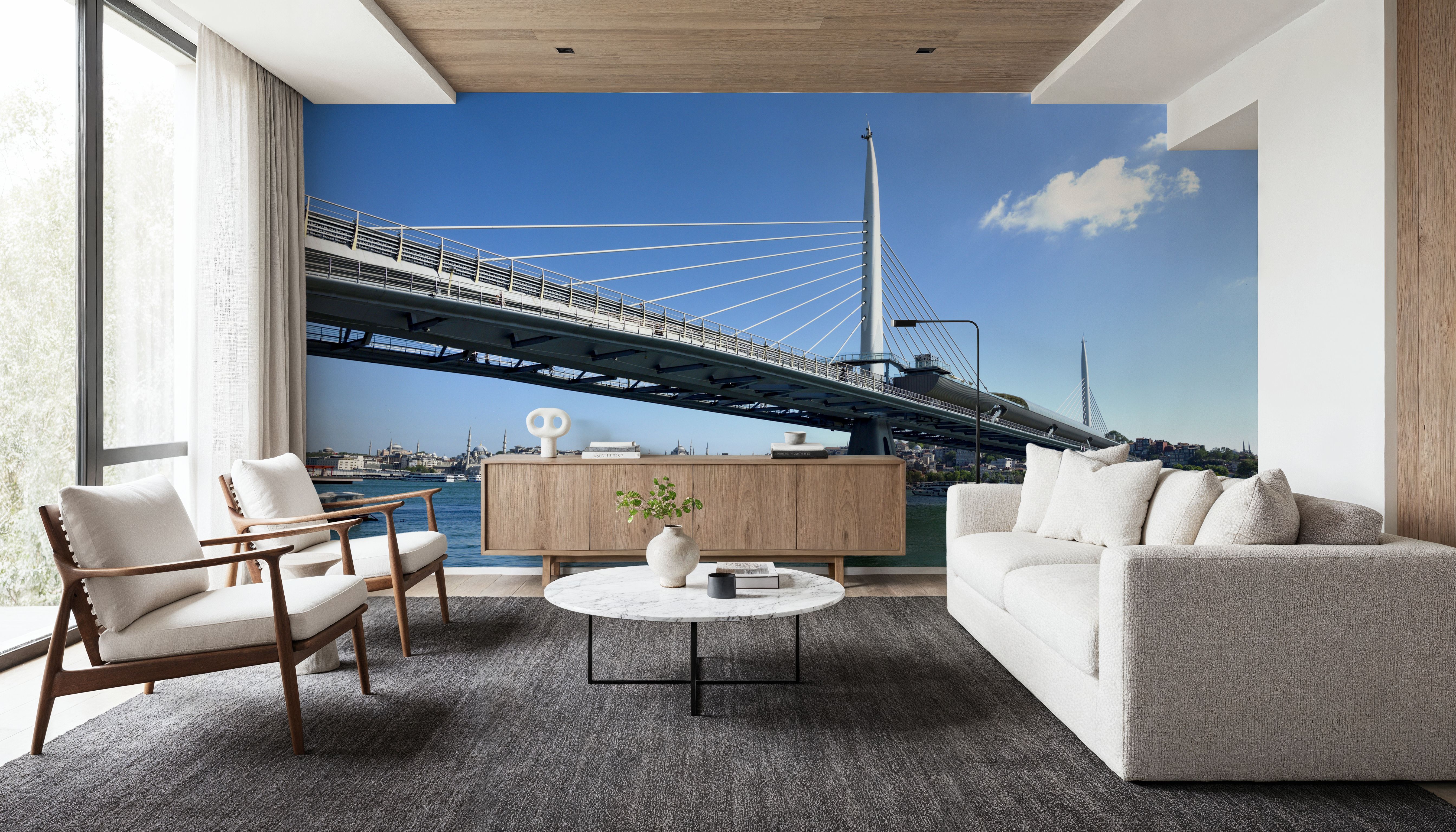 Urban Suspension Bridge