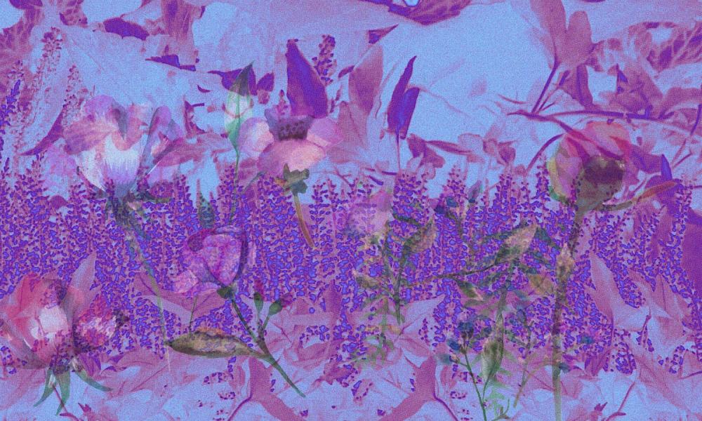 Meadow Memories, Purple