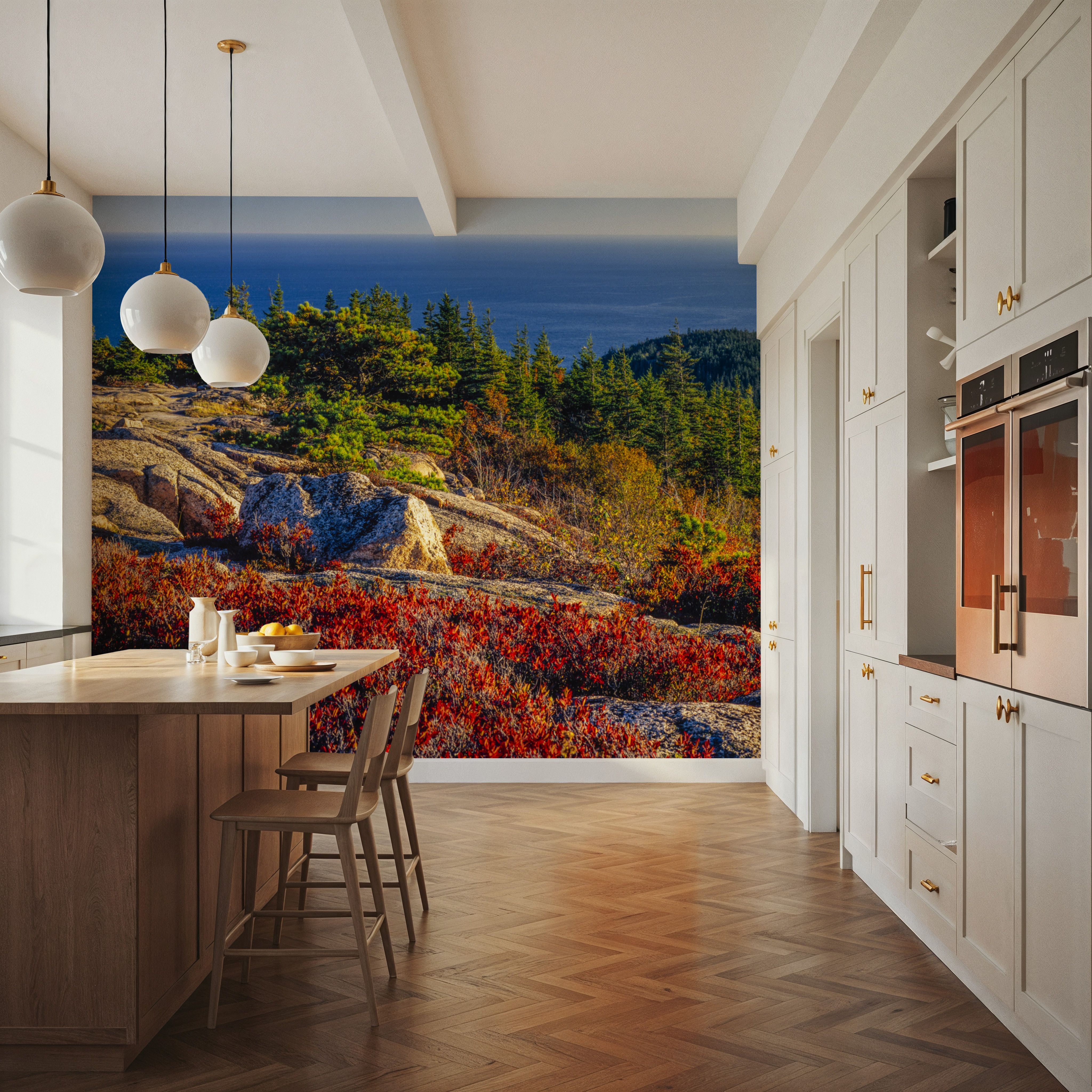 Acadia National Park