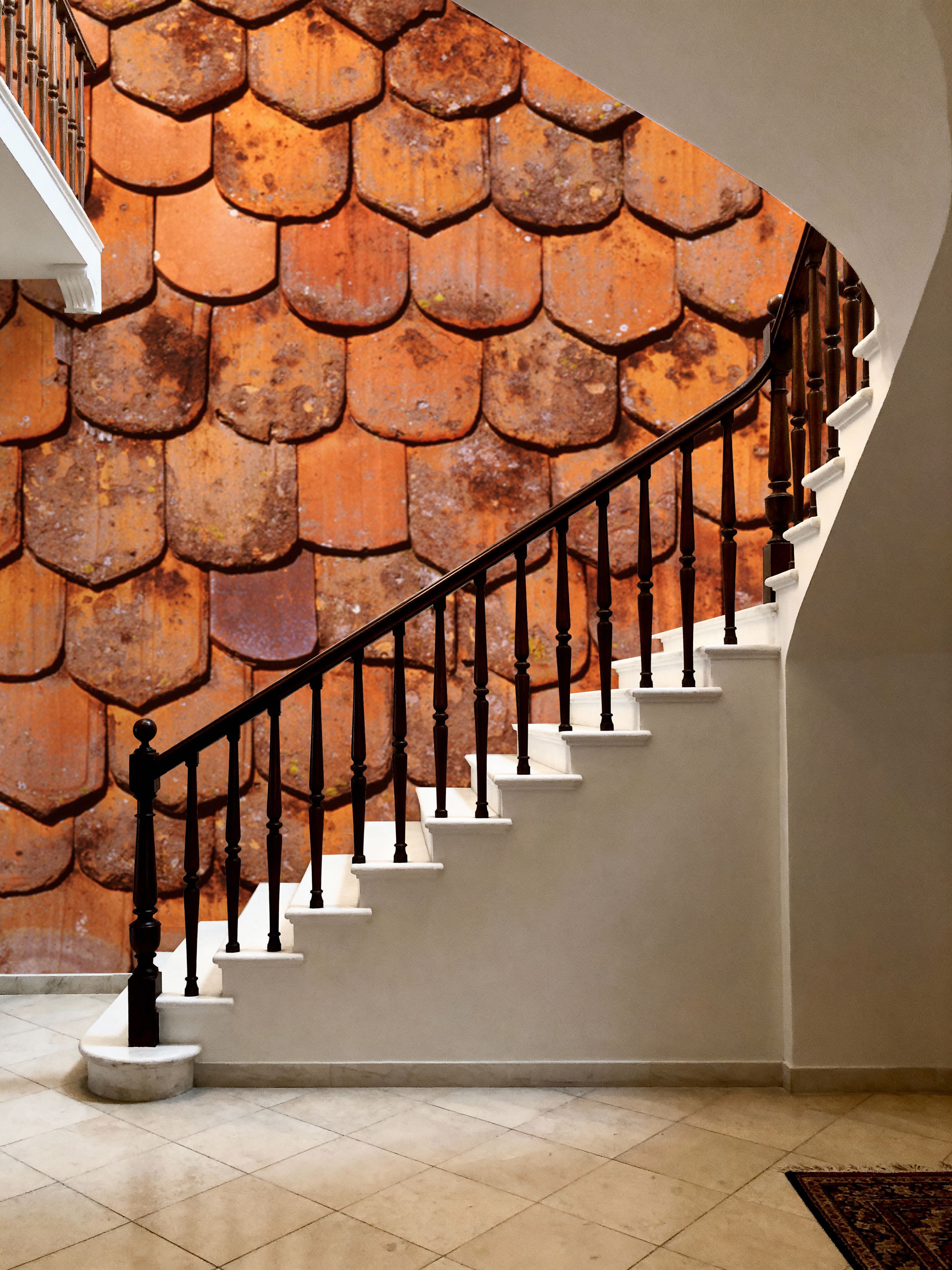 Terracotta Scales