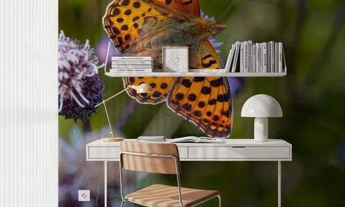 Butterfly Wings
