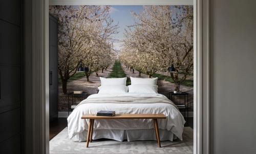Blossoming Symmetry